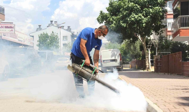 Antalya Büyükşehir vektörle mücadele çalışmalarını sürdürüyor