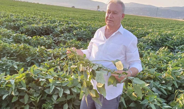 Arabanlı çiftçiler alternatif ürün olarak soya ekimine başladı