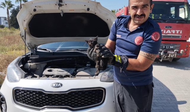 Araç motoruna sıkışan kediyi itfaiye kurtardı