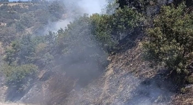 Araçtan çıkan yangın ormana sıçrayan yangın kontrol altına alındı