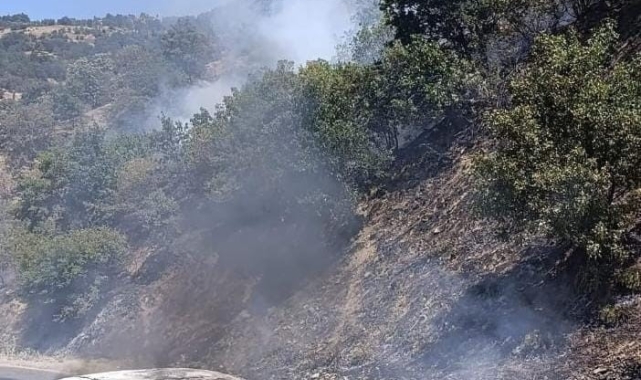 Araçtan çıkan yangın ormana sıçrayan yangın kontrol altına alındı