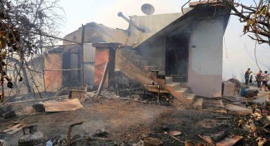 Arı kovanlarını tütsülemek için yakılan ateş ormana sıçradı, bir ev ve traktör küle döndü