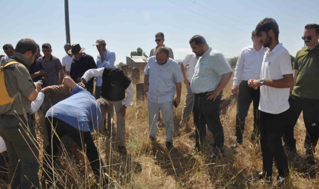 Arkeologlar Mollakent'teki tarihi yerleri gezdi