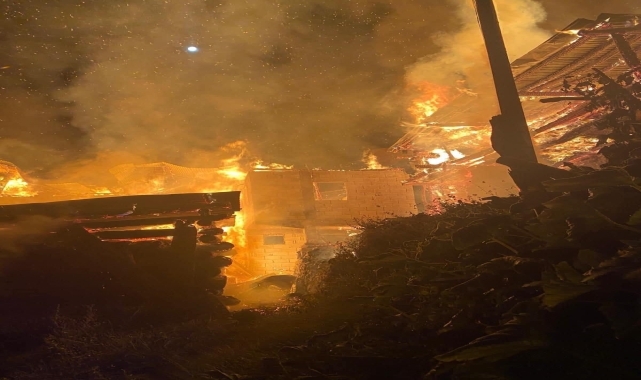 Artvin'de  çıkan yangında 3 ev kullanılmaz hale geldi