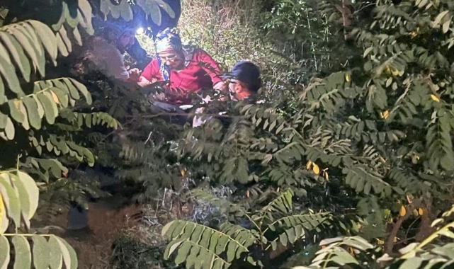 Artvin'de dağ kekiği toplayan aile dağda mahsur kaldı, yardımlarına arama kurtarma ekipleri yetişti
