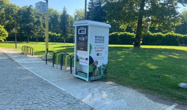 Atıklar, sokak hayvanları için mamaya dönüşüyor