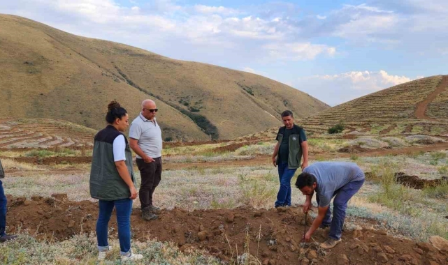 Ayatay, Çayırlı ve Otlukbeli'de yapılan çalışmaları yerinde inceledi