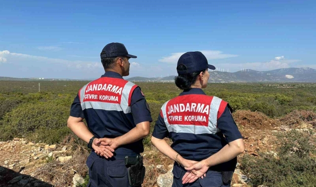 Aydın'da jandarma ekiplerinden Bafa Gölü'ndeki kuş ve balık türlerini korumak için yoğun denetim