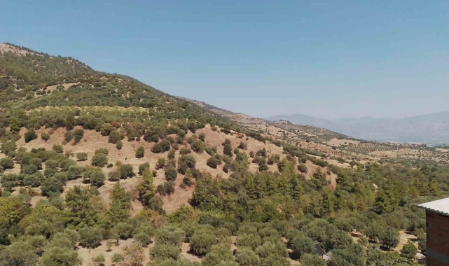 Aydın'da patlama paniği