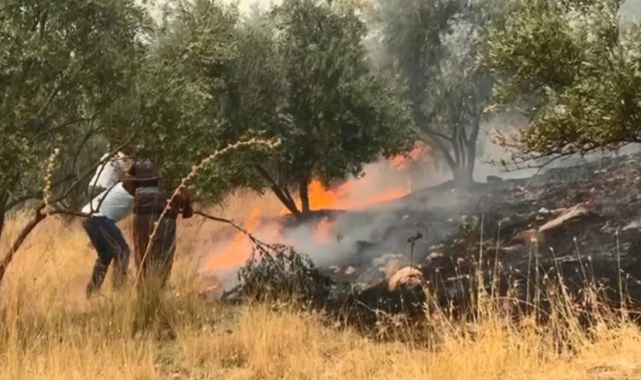 Aydın'daki yangını söndürme çalışmaları sürüyor