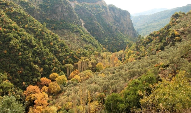 Aydın'ın doğa harikası Koçak Kanyonu, özgün klimasıyla ilgi odağı olmaya devam ediyor