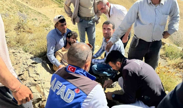 Ayının saldırısına uğrayan çoban ağır yaralandı