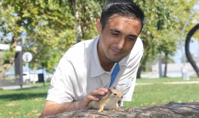 Bahçede bulduğu sincap en yakın arkadaşı oldu