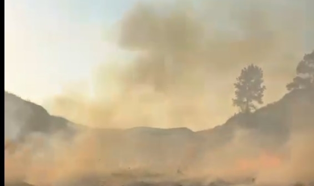 Bahçesindeki otları yakarak temizlemeye kalkışan şahıs Marmaris'i ayağa kaldırdı