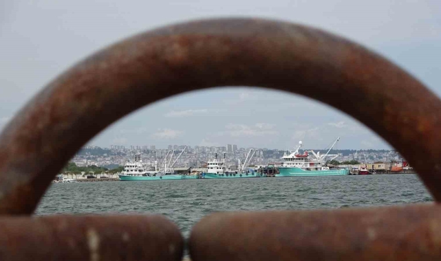 Balıkçıların 'hamsi kotası' endişesi: "Altınla yarışacak"