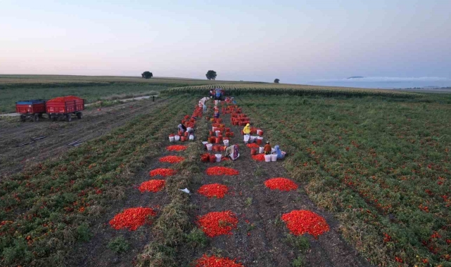 Balıkesir Büyükşehir Belediyesi'nin tarımsal sulama desteğiyle ilk hasat yapıldı