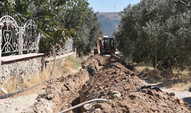 Balıkesir'de, 80 bin zeytin ağacı suyla buluştu