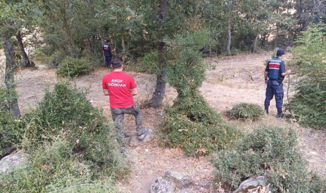 Balıkesir'de kaybolan kadın ortaya çıktı: Kendi isteğiyle saklanmış
