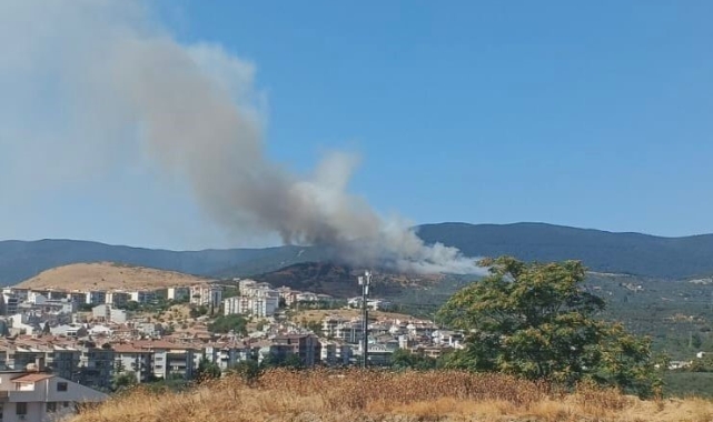 Balıkesir'de orman yangını