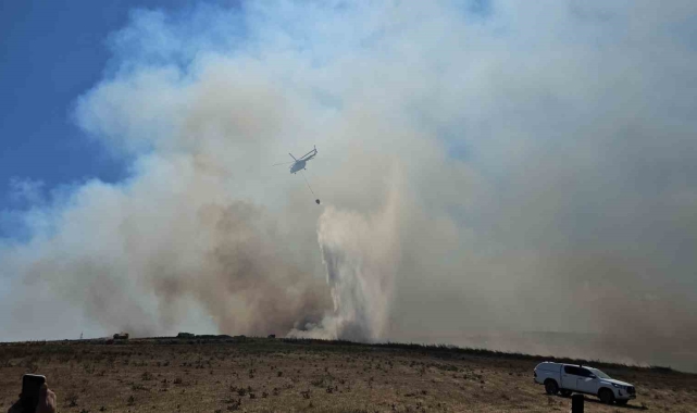Balıkesir'de otluk alanda çıkan yangın söndürüldü