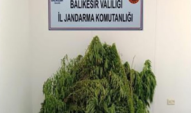 Balıkesir'de uyuşturucu operasyonu, 2 şüpheli yakalandı