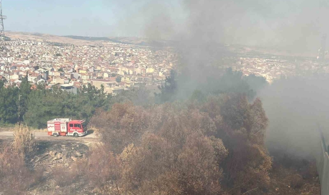 Balıkesir'in Çamlık mevkiinde çıkan arazi yangını söndürüldü