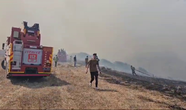 Bandırma'da otluk alanda yangın çıktı
