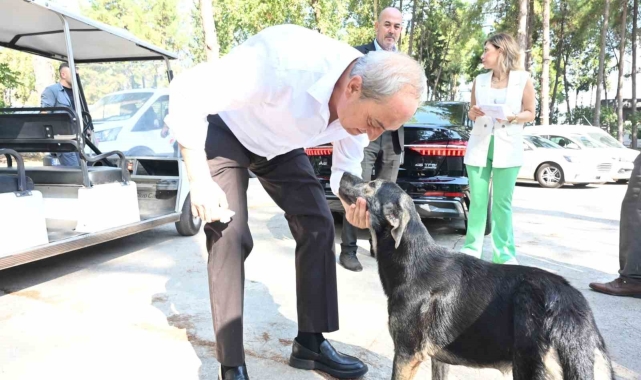 Başkan Kocagöz'den 'Köpek yakıldı' iddialarına cevap