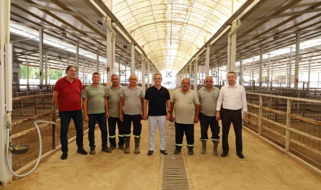 Başkan Tetik, Nazilli'de devam eden çalışmaları yerinde inceledi
