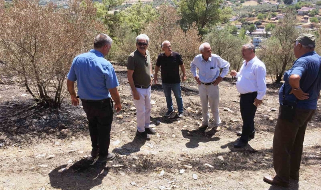 Baştuğ, Yatağan'da yanan zeytinlik alanlarda incelemelerde bulundu