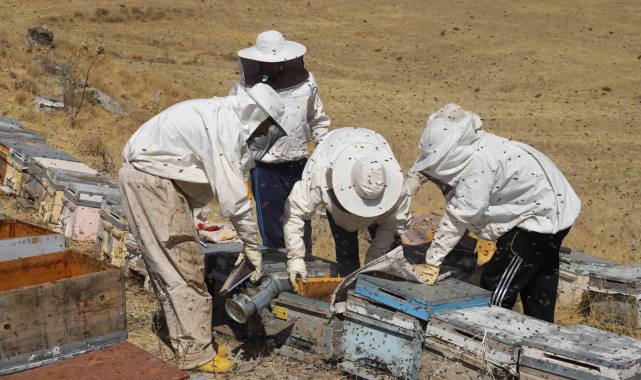 Bayburt'ta bal hasadı sezonu başladı