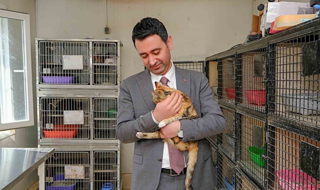 Bayraklı Belediyesi, can dostları sahiplendirme kampanyası başlattı