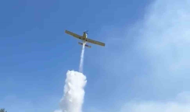 Bergama'daki orman yangını kontrol altında