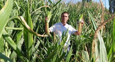 Beylikova Belediyesi hasat öncesi kontrolleri tamamladı