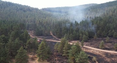 Beypazarı'nda makilik yangını ormana sıçramadan söndürüldü