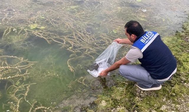 Bilecik'te 14 farklı göle 134 bin 500 adet sazan balığı yavrusu bırakıldı