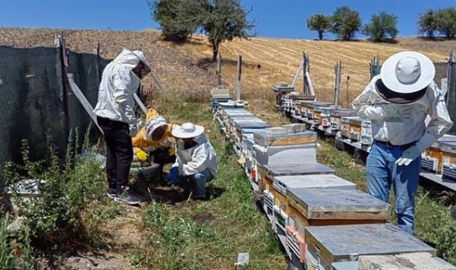 Bilecik'te bal üretimi 88 tondan 221 tona çıktı