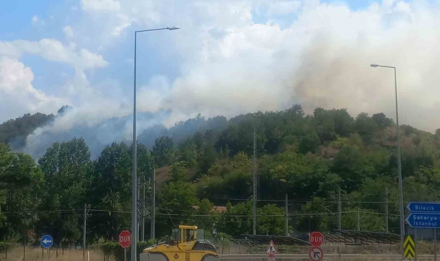 Bilecik'te çıkan otluk yangını kontrol altına alındı