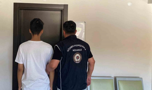 Bilecik'te düzensiz göçmen operasyonu