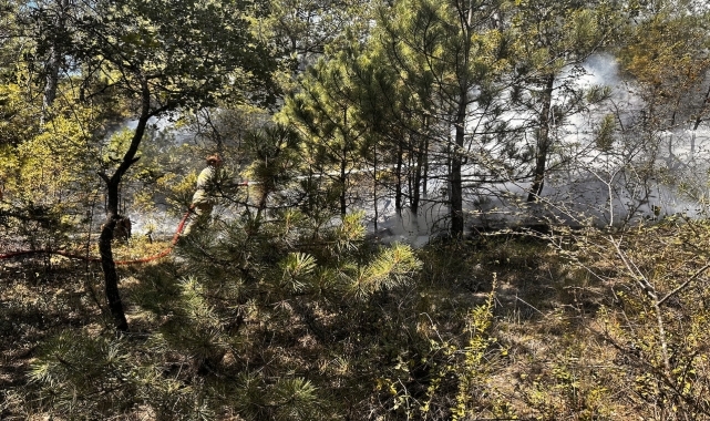Bolu'da ormanlık alanda çıkan yangına 71 saattir müdahale ediliyor