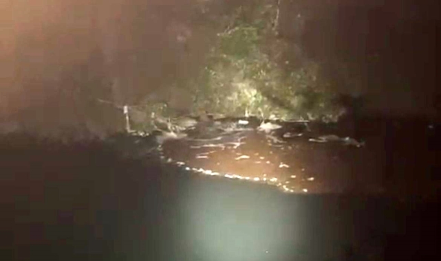 Bolu Valiliği çevre katili Beypiliç, Erpiliç ve Akpiliç'e ağır ceza uygulaması