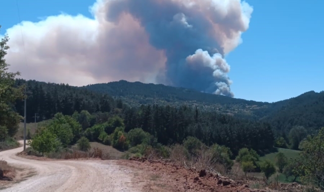 Bolu'da 2 ilçe arasında orman yangını başladı: Dumanlar gökyüzünü kapladı