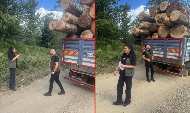 Bolu'da kaçak orman emvaline geçit yok