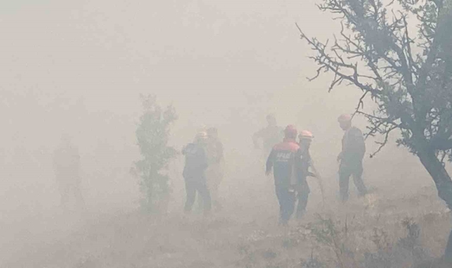 Bolu'da kontrol altına alınan yangın tekrar alevlendi