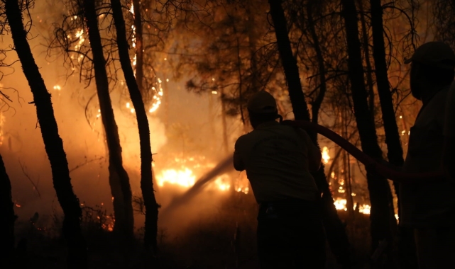 Bozdoğan'daki orman yangınında ekiplerin zorlu mücadelesi gece boyunca sürdü