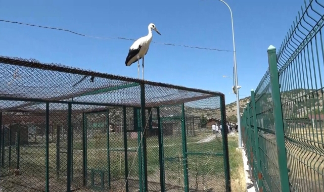 Bu da Kütahya'nın 'Yaren'i