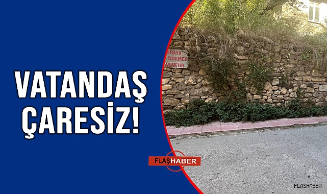 BU SOKAK KADERİNE TERK EDİLMİŞ!