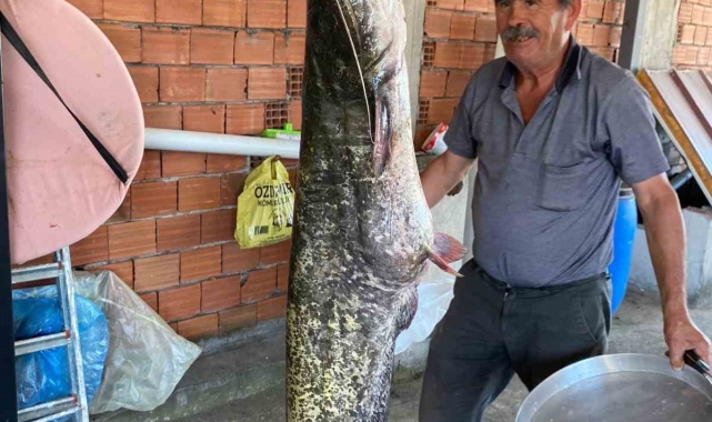 Bursa'da barajda 87 kilogramlık balık yakalandı