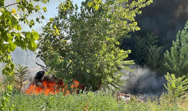 Bursa'da korkutan yangın : Odun depoları tehlike altında
