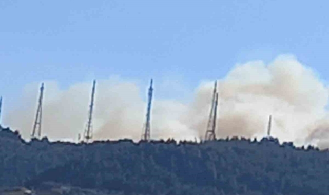 Bursa&#039;da orman yangını